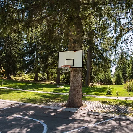 Szálloda Mountain 3*